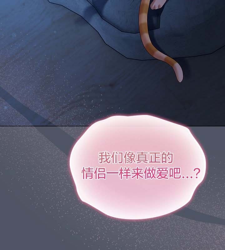 5P - 猫猫牵红线