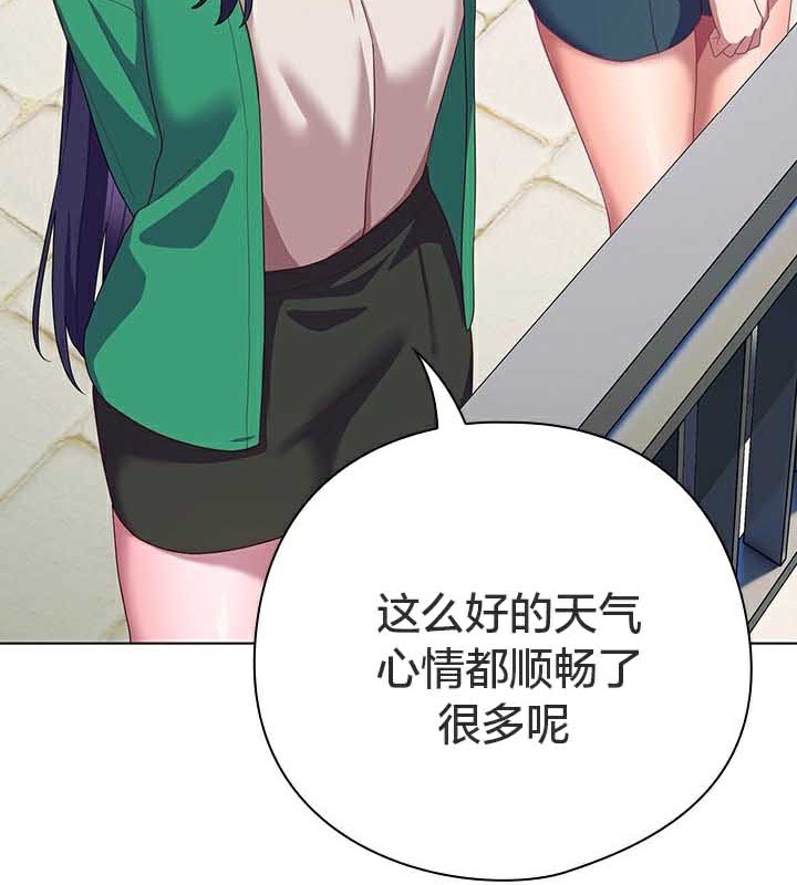 115P - 猫猫牵红线
