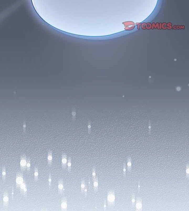 62P - 猫猫牵红线