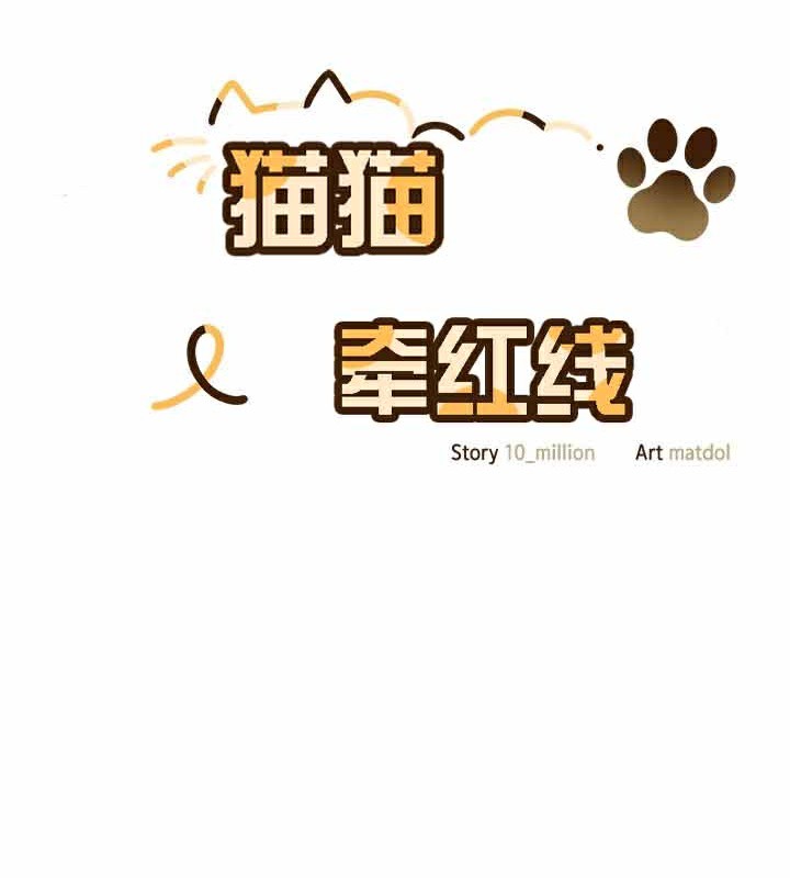 64P - 猫猫牵红线