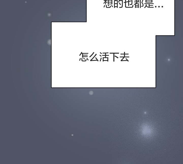 6P - 猫猫牵红线