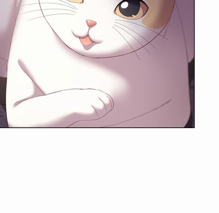 132P - 猫猫牵红线