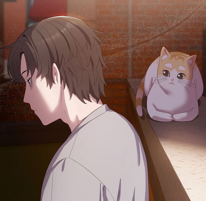 134P - 猫猫牵红线