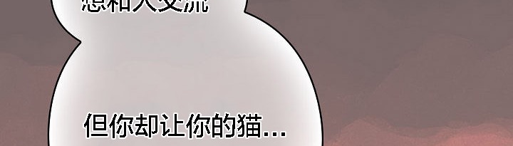 148P - 猫猫牵红线