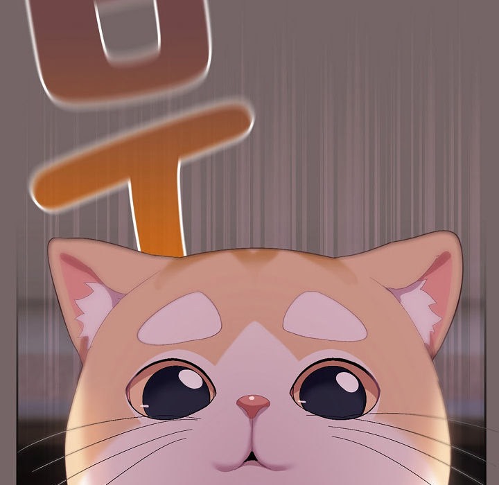 155P - 猫猫牵红线