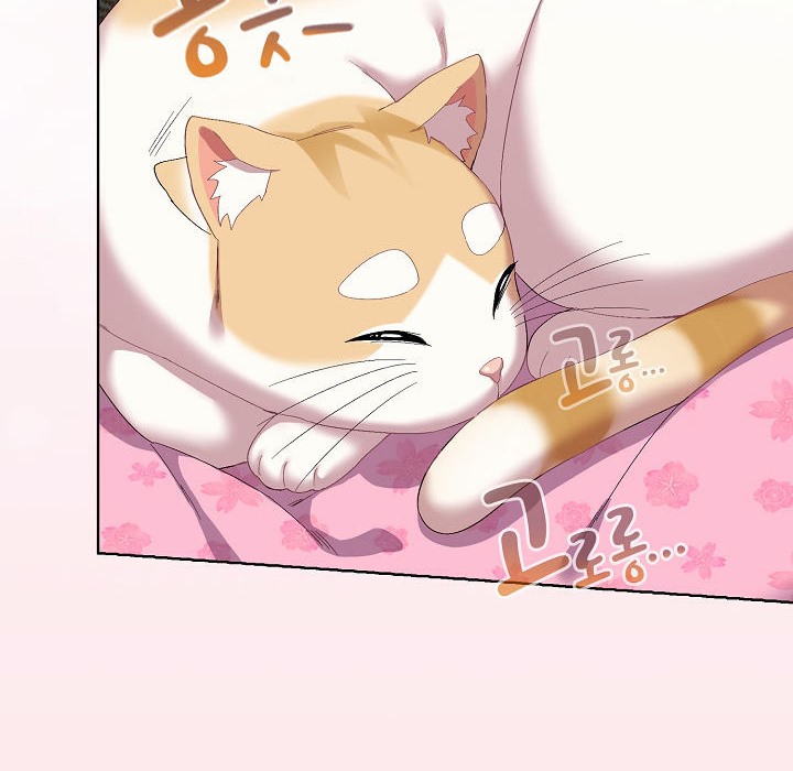 194P - 猫猫牵红线