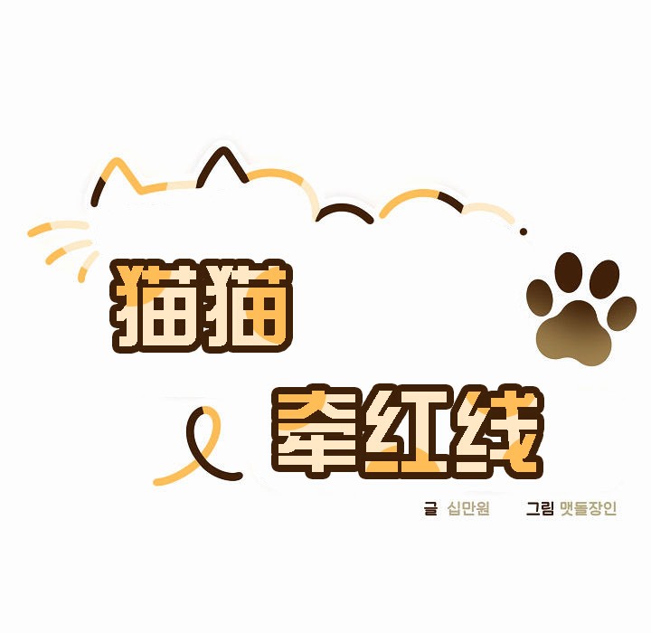 31P - 猫猫牵红线