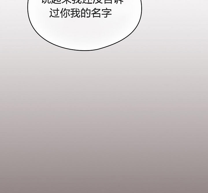 80P - 猫猫牵红线