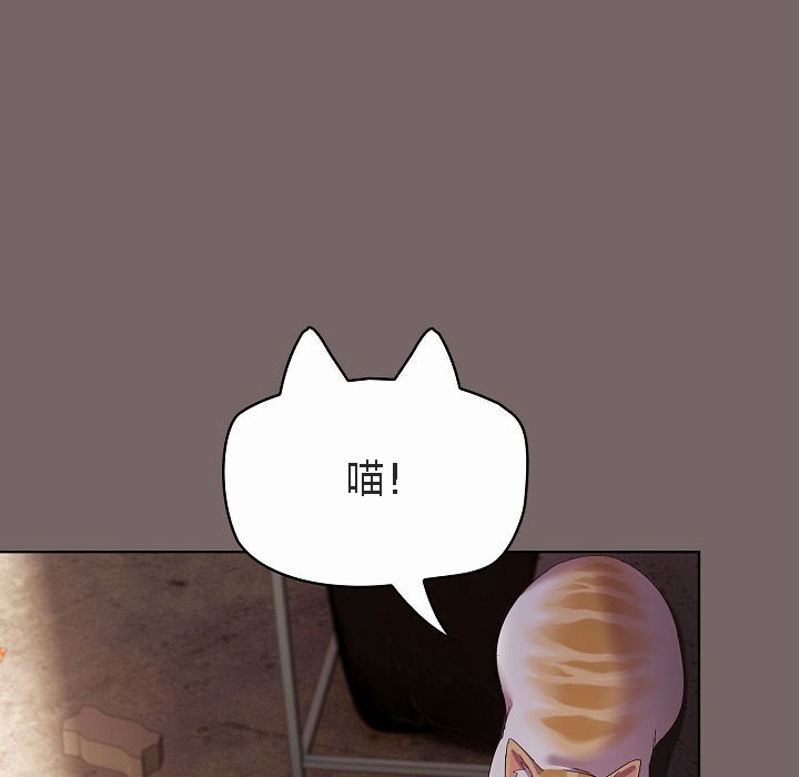85P - 猫猫牵红线