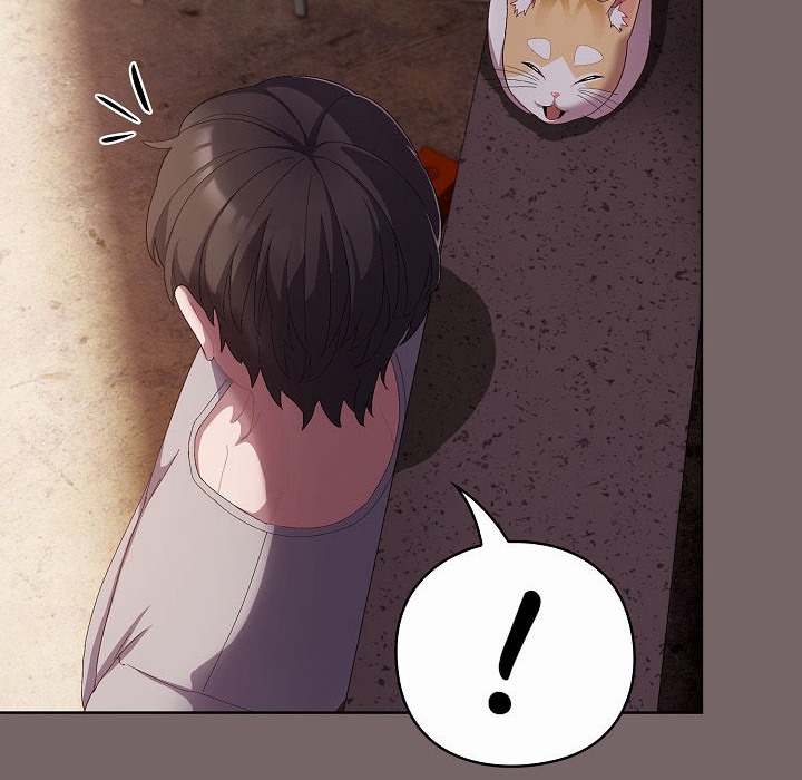 86P - 猫猫牵红线