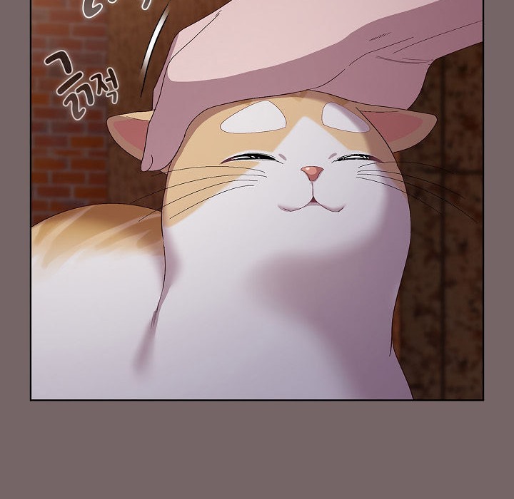 88P - 猫猫牵红线