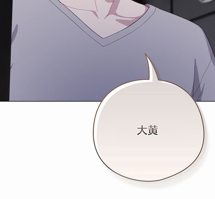 11P - 猫猫牵红线