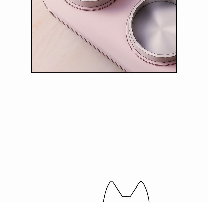 14P - 猫猫牵红线