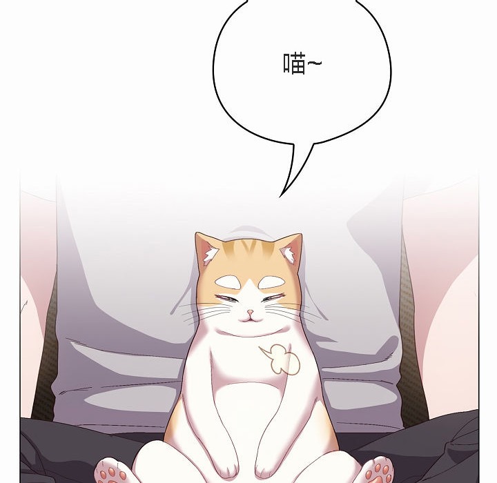 15P - 猫猫牵红线