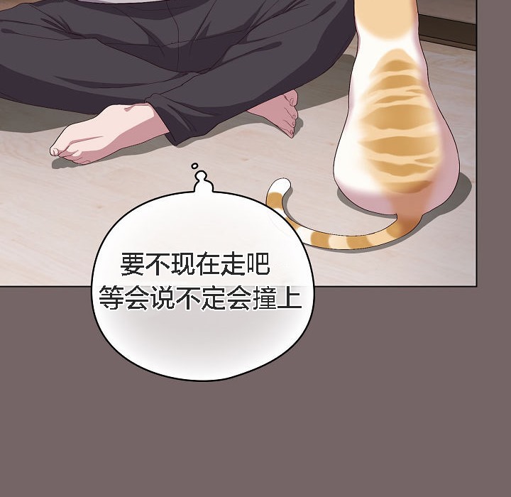 180P - 猫猫牵红线