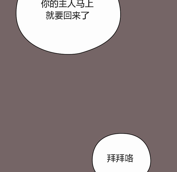 185P - 猫猫牵红线