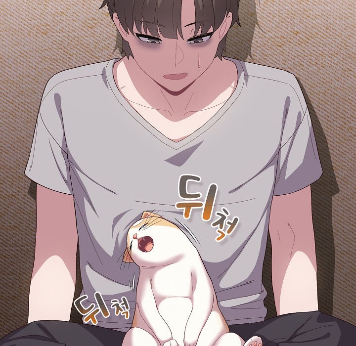 18P - 猫猫牵红线