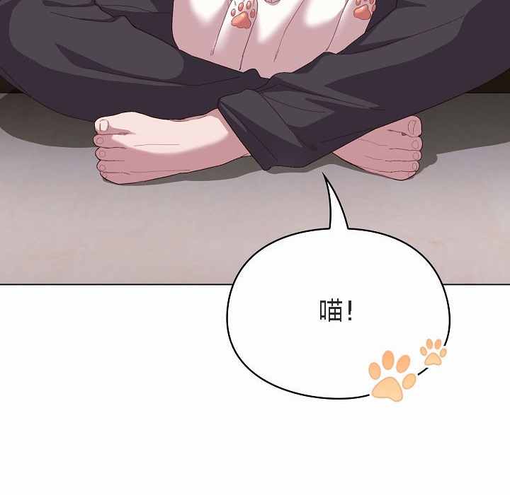 19P - 猫猫牵红线