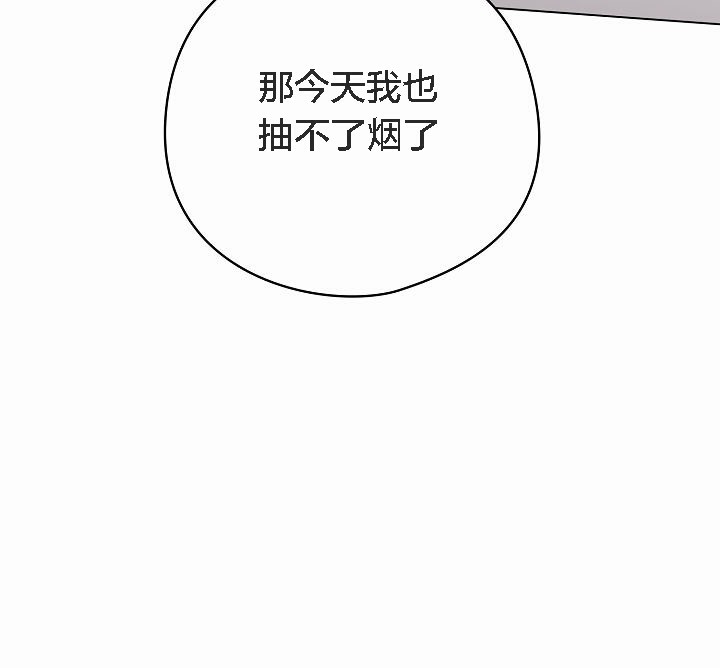22P - 猫猫牵红线