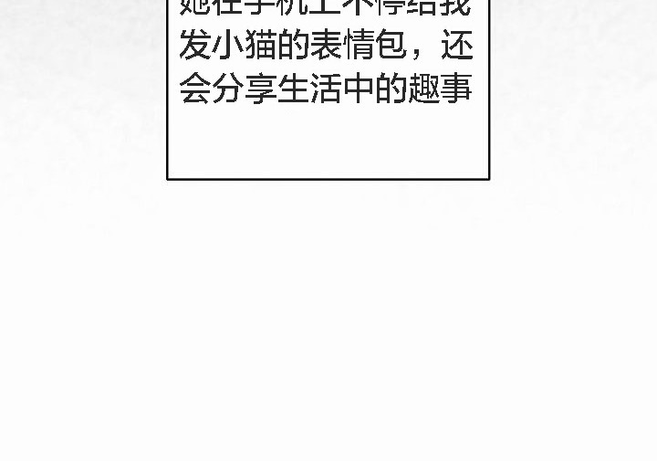 32P - 猫猫牵红线