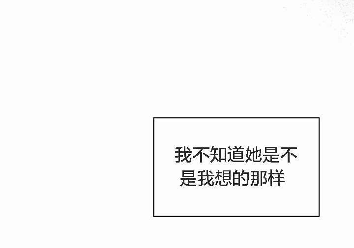 42P - 猫猫牵红线