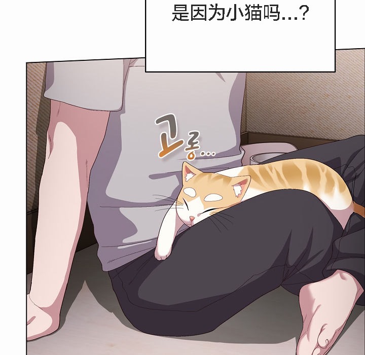 45P - 猫猫牵红线