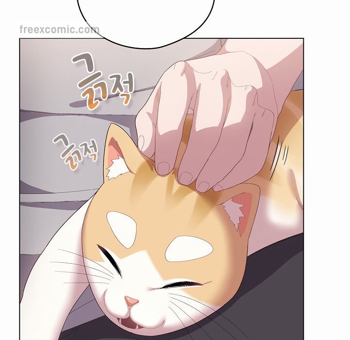50P - 猫猫牵红线