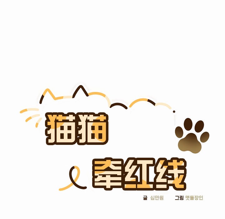 52P - 猫猫牵红线