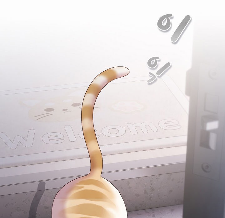 7P - 猫猫牵红线