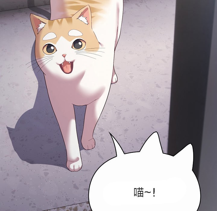 8P - 猫猫牵红线