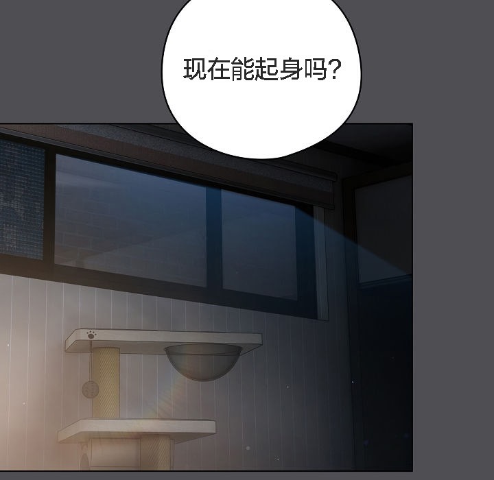133P - 猫猫牵红线