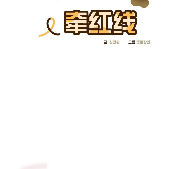 16P - 猫猫牵红线
