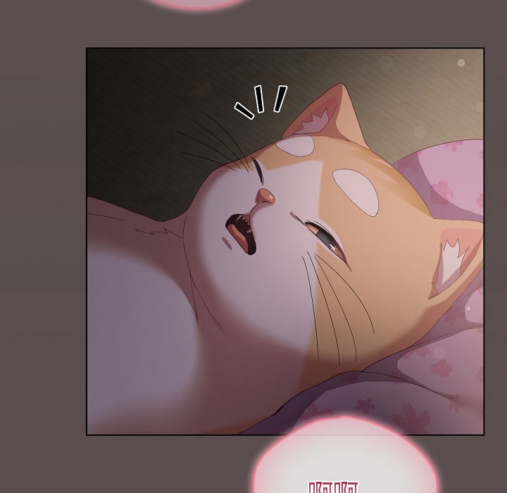 153P - 猫猫牵红线