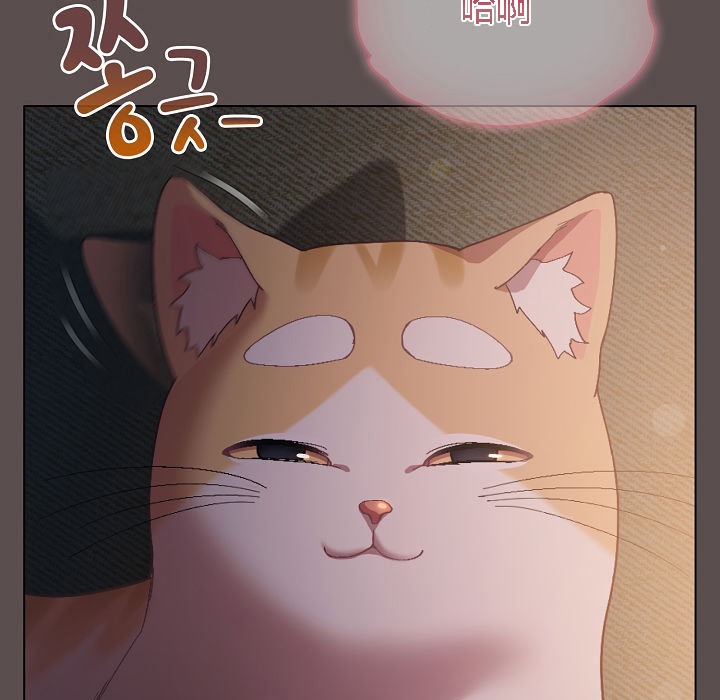 11P - 猫猫牵红线