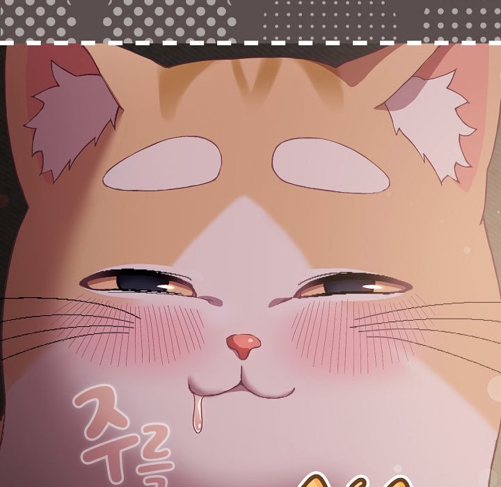 18P - 猫猫牵红线