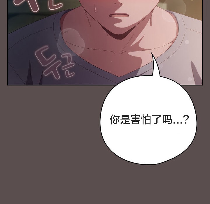 26P - 猫猫牵红线