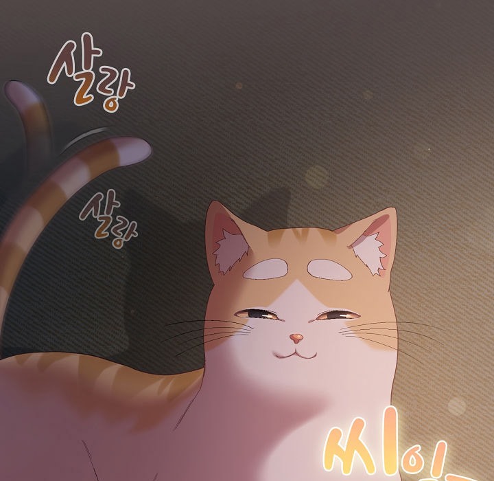 7P - 猫猫牵红线