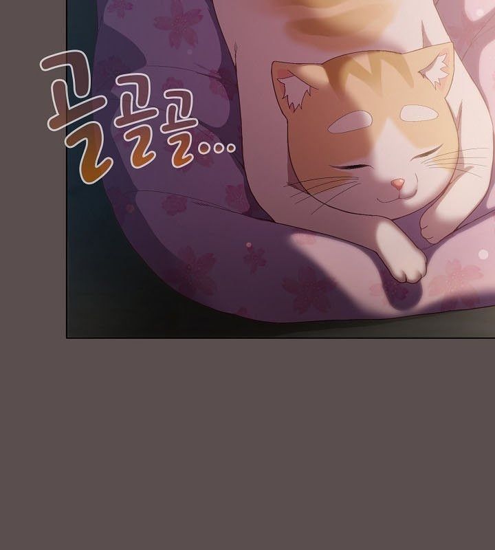 131P - 猫猫牵红线