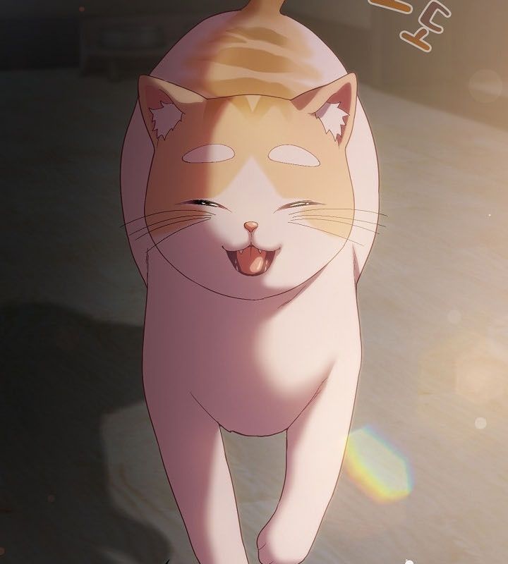 165P - 猫猫牵红线
