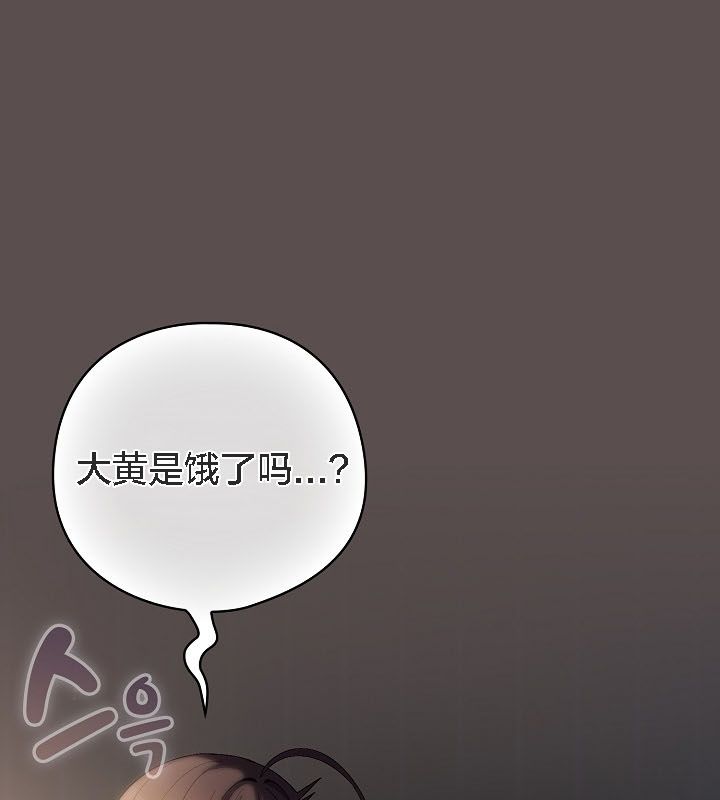 170P - 猫猫牵红线