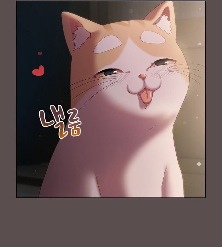 176P - 猫猫牵红线
