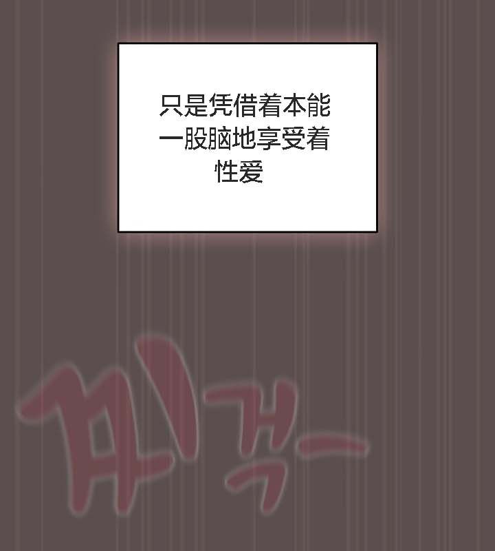 41P - 猫猫牵红线