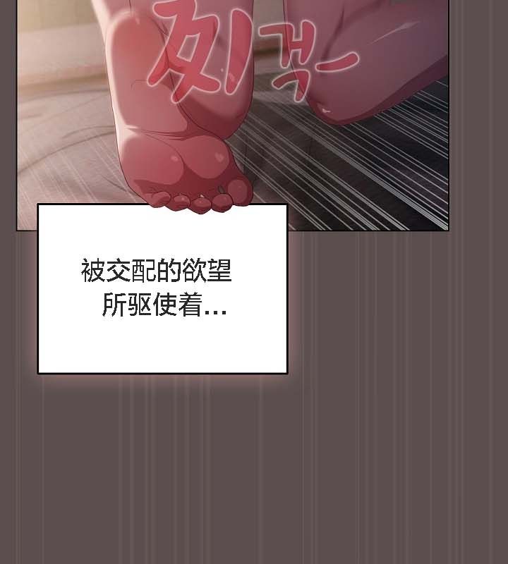 47P - 猫猫牵红线