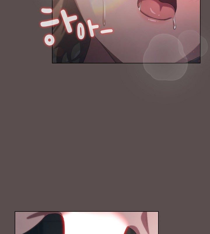 5P - 猫猫牵红线