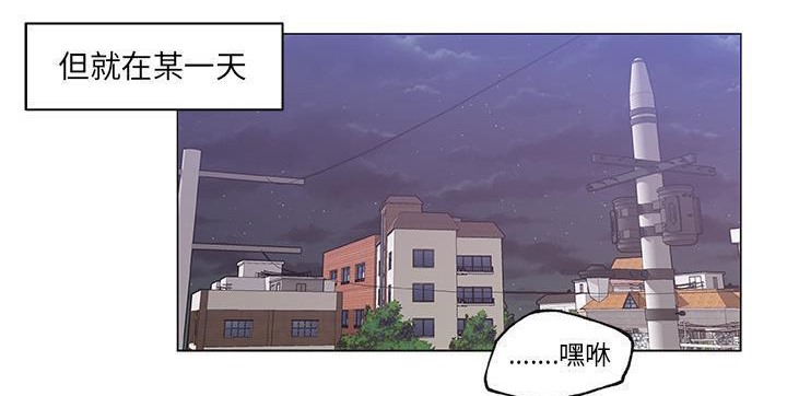 82P - 速食男女