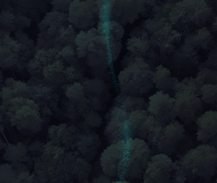 101P - 进击的巨根