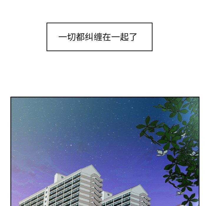 13P - 回归单身的继女