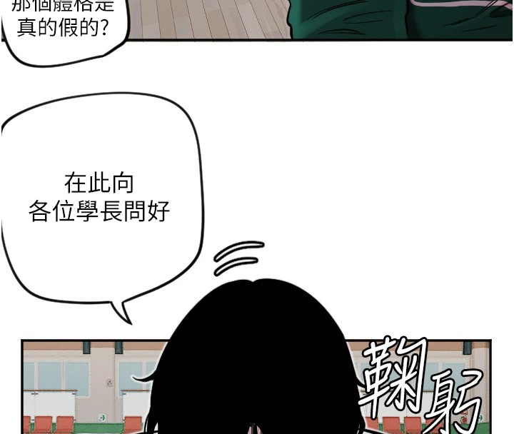 20P - 守护天使
