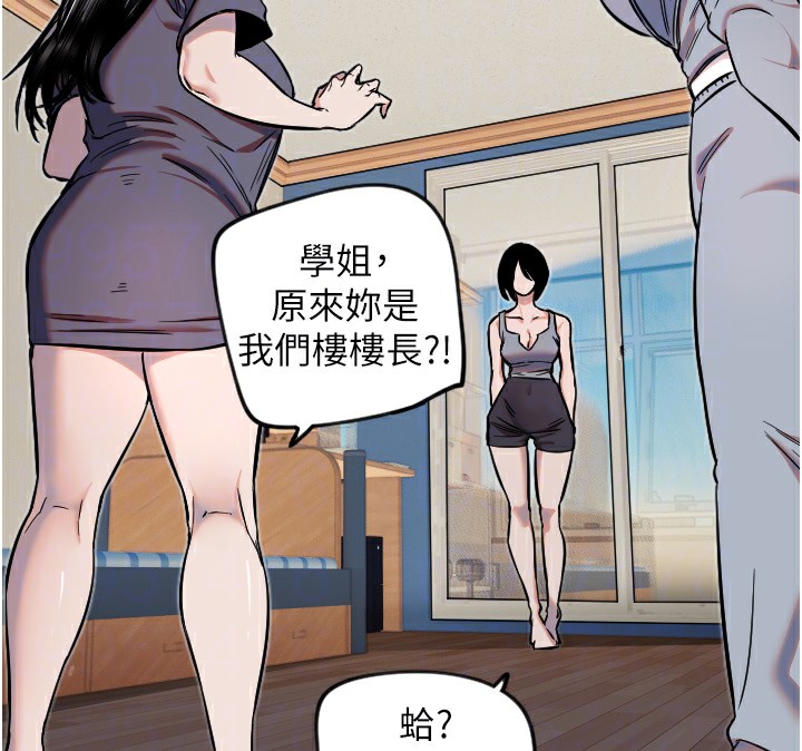 24P - 守护天使