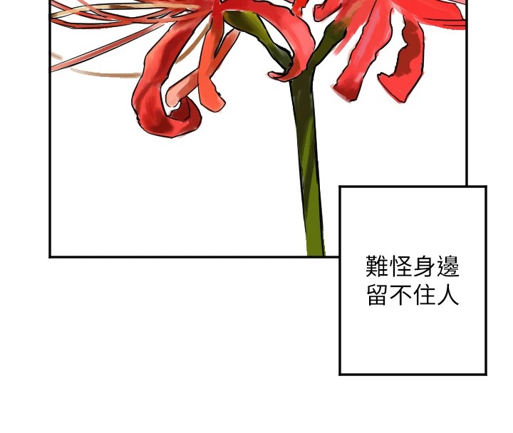 20P - 守护天使